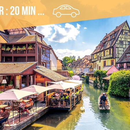 ✧ La Suite ✧ Studio De Charme Route Des Vins Kintzheim Eksteriør bilde